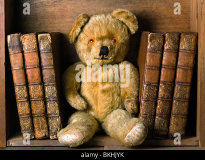 Orsacchiotto di peluche con libri sullo scaffale. Foto Stock