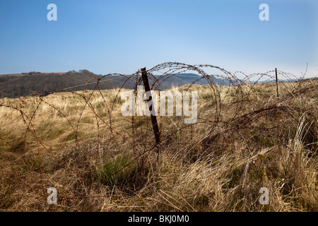 Rusty filo spinato a bordo del MOD poligono Pendine Wales UK Foto Stock