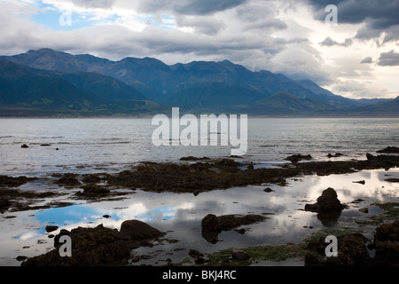 Kaikoura Isola del Sud della Nuova Zelanda Foto Stock