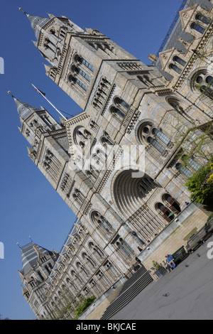 Livello basso e angolato aspetto dell'entrata principale e ala ovest del Museo di Storia Naturale di Londra. Foto Stock