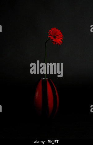 Una fotografia artistica di un rosso gerbera in rosso e nero vaso. Fotografato in un buio e moody luce contro un oscuro backgroun Foto Stock