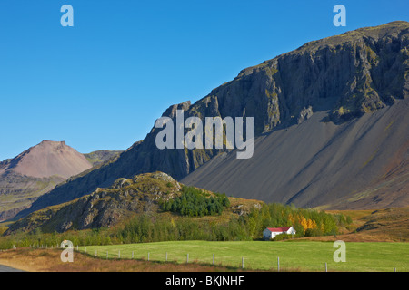 Lonely farm in Oriente fiordi, Islanda Foto Stock