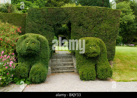 Topiaria da porta a Lisselan Gardens, County Cork, Irlanda Foto Stock