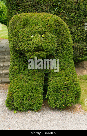 Topiaria da recare a Lisselan Gardens, County Cork, Irlanda Foto Stock