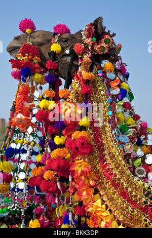 Camel decorate con costumi tradizionali. Jaisalmer Desert Festival. Il Rajasthan. India Foto Stock