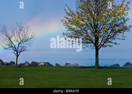 I vigili del fuoco sono stati in formazione e hanno rivolto il loro tubo flessibile sopra il lago di alberi e la creazione di questo arcobaleno e la nebbia Foto Stock