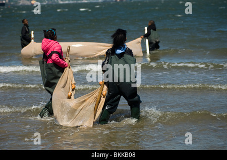 Gli studenti test della qualità dell'acqua e cerca le acque per la vita marina a Coney Island Creek di Brooklyn a New York Foto Stock