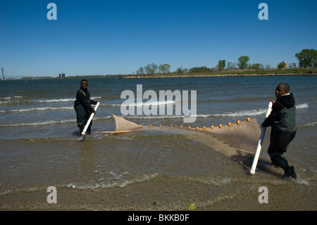 Gli studenti test della qualità dell'acqua e cerca le acque per la vita marina a Coney Island Creek di Brooklyn a New York Foto Stock