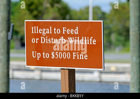 "Illegali a disturbare la fauna selvatica di preavviso. Flamingo, Everglades, Florida, Stati Uniti d'America Foto Stock