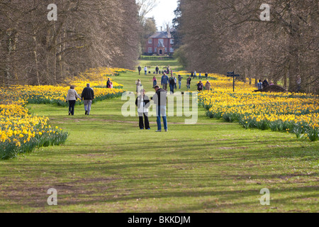 Le persone e le famiglie a piedi nella Nowton Park, Regno Unito Foto Stock