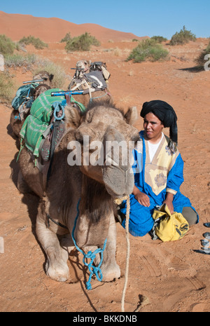 Berber uomo arabo e i suoi cammelli nel deserto del Sahara, Marocco Foto Stock