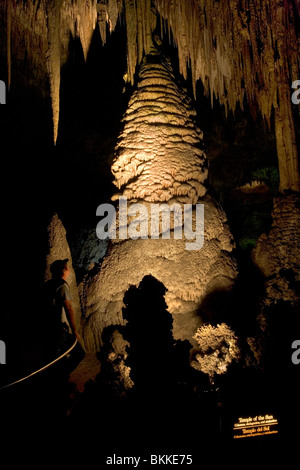 Un grande Stelagmite chiamato il tempio del sole dentro il Carlsbad Caverns. Stelactites piccoli e grandi appesi al soffitto. Foto Stock