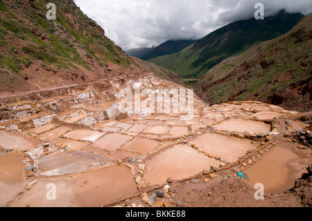 Il Salineras de Maras Inca saline, Perù Foto Stock