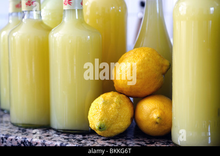 Bottiglie di fatto in casa e limoncello limoni organico Foto Stock