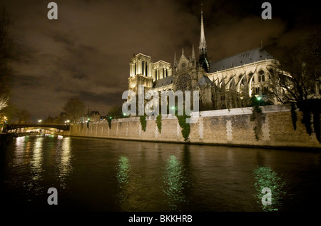 La cattedrale di Notre Dame accanto al fiume Senna di notte a Parigi Francia Foto Stock