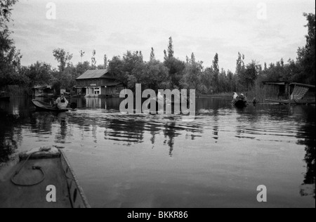 'Shikaras' piccole imbarcazioni su dal lago, Srinagar nella valle del Kashmir Foto Stock