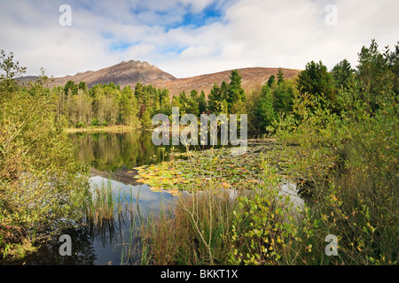 Sally Lough nella Valle silenziosa con Slieve Binian e la Mourne Mountains dietro, County Down, Irlanda del Nord Foto Stock