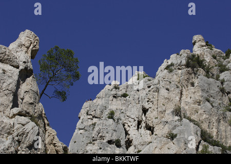 Ingresso delle montagne rocciose marseille cassis pino rocce montagne Provence Francia Foto Stock