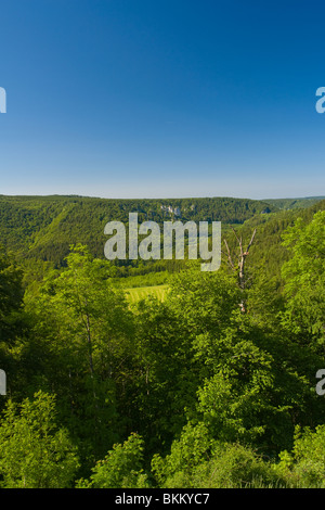 Bei/vicino Irndorf bzw. Beuron Foto Stock