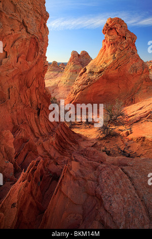 Le formazioni rocciose in Vermiglio scogliere monumento nazionale, Arizona Foto Stock