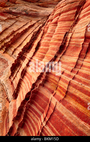 Dettagli in pietra arenaria striate formazioni in Vermiglio scogliere monumento nazionale Foto Stock