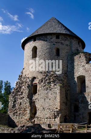 Cesis Castle è un castello di Livonian situato in Cesis, Lettonia. Le sue rovine sono una delle più maestose rovine del castello nel Mar Baltico Foto Stock