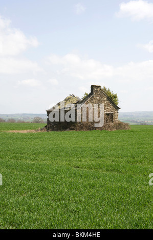 Una vecchia pietra costruito il granaio o Cottage in rovina in un campo in una fattoria vicino a Laval Aveyron Francia Foto Stock