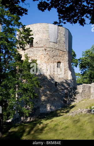Cesis Castle è un castello di Livonian situato in Cesis, Lettonia. Le sue rovine sono una delle più maestose rovine del castello nei Paesi Baltici Foto Stock