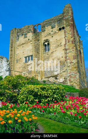 Castello di Guildford motivi Foto Stock