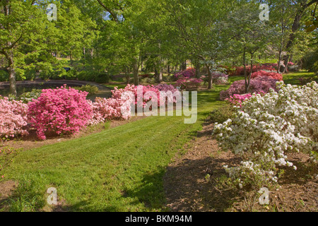 Glencairn giardino in collina della roccia Carolina del Sud Foto Stock