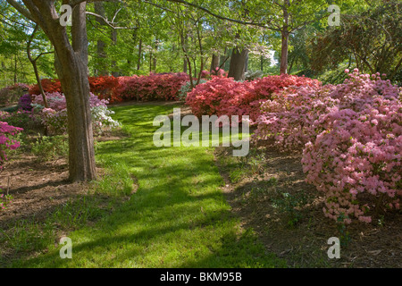 Glencairn giardino in collina della roccia Carolina del Sud Foto Stock