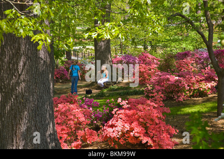 Glencairn giardino in collina della roccia Carolina del Sud Foto Stock