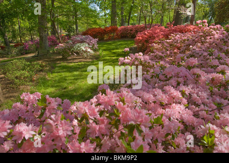 Glencairn giardino in collina della roccia Carolina del Sud Foto Stock
