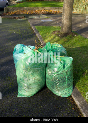 Tre verde sacchetti in plastica riciclabile di scarti da giardino Foto Stock
