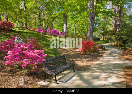 Glencairn giardino in collina della roccia Carolina del Sud Foto Stock