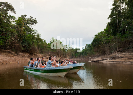 Wildlife spotting tour in barca sul fiume Kinabatangan, Sabah Borneo Malese. Foto Stock