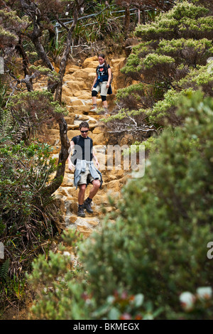 Gli escursionisti sul Mt Kinabalu summit trail. Kinabalu National Park, Sabah Borneo Malese. Foto Stock