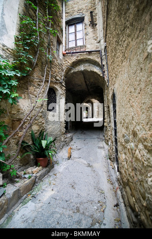 Vicolo nell antico borgo di Bussana Vecchia, Liguria, Italia Foto Stock