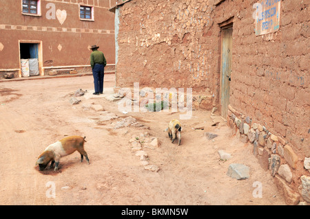 Scena dalla piccola cittadina di Macha nell'altopiano boliviano. Foto Stock