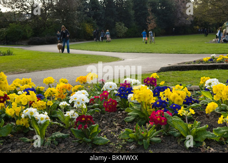 Endcliffe Park, Sheffield South Yorkshire. Foto Stock