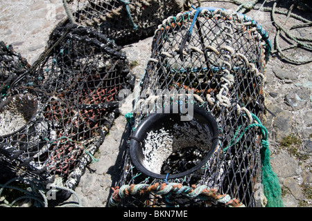 Svuotare Lobster Pot Foto Stock