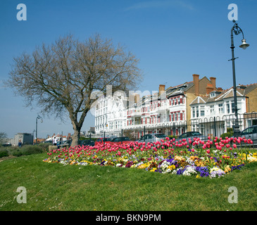 Letti di fiori in Cliff Gardens, WESTCLIFF PARADE, Southend, Essex Foto Stock