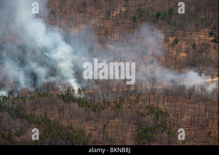 2000 acre prescritto masterizzare sul Huron-Manistee National Forest in Michigan STATI UNITI D'AMERICA, da Jeff Wickett/Dembinsky Foto Assoc Foto Stock