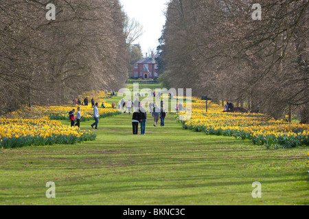 Le persone e le famiglie a piedi nella Nowton Park, Regno Unito Foto Stock