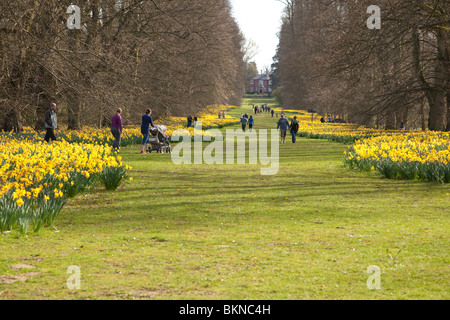 Le persone e le famiglie a piedi nella Nowton Park, Regno Unito Foto Stock