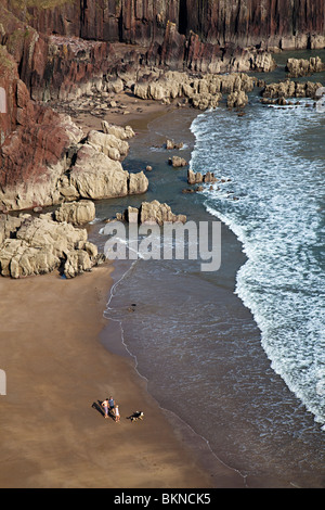 Persone con cani sulla spiaggia appartata sul Il Pembrokeshire Coast vicino Manorbier Wales UK Foto Stock