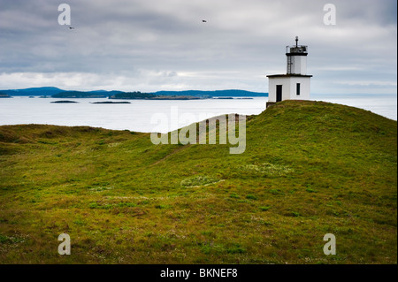 La punta meridionale di San Juan Island, Washington è noto come punto di bestiame. Questo moderno faro è stato costruito nel 1935. Foto Stock