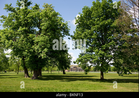 Una vista di Kensington Palace attraverso gli alberi in una giornata di sole, 2010 Foto Stock