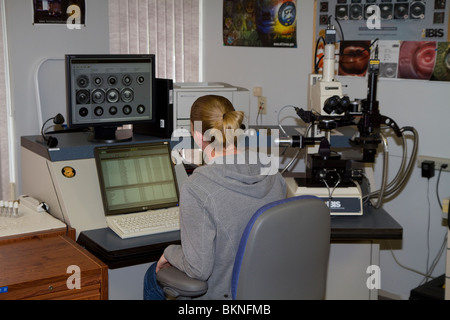 Esperto legale utilizzando NIBIN - National Integrated Ballistics Rete di informazione per la ricerca di corrispondenze della balistica. Foto Stock