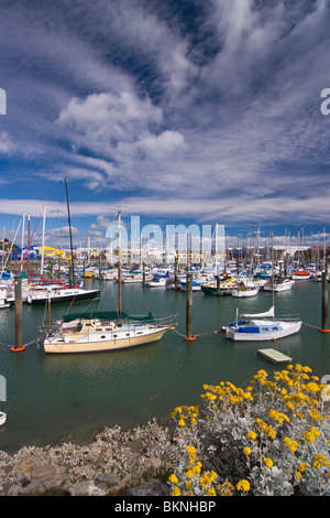 Yacht e lance a motore ormeggiata in un porto turistico, Nelson, Nuova Zelanda Foto Stock